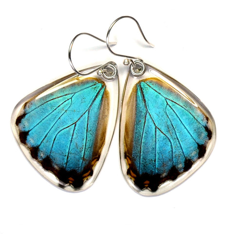 Butterfly earrings, Blue Morpho Portis, bottom wings