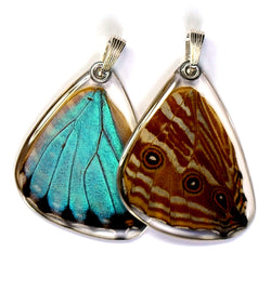 Butterfly wing pendant ONLY, Blue Morpho Portis, bottom wing