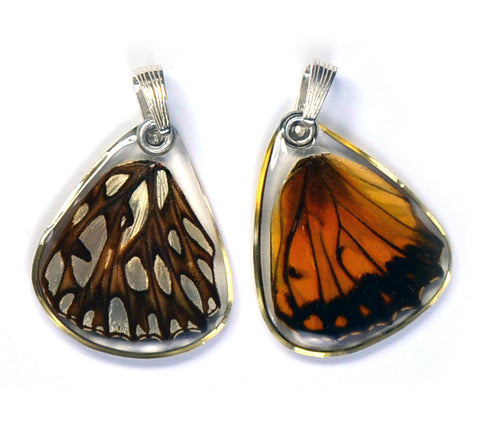 Butterfly wing pendant ONLY, Mexican Silverspot Butterfly, bottom wing