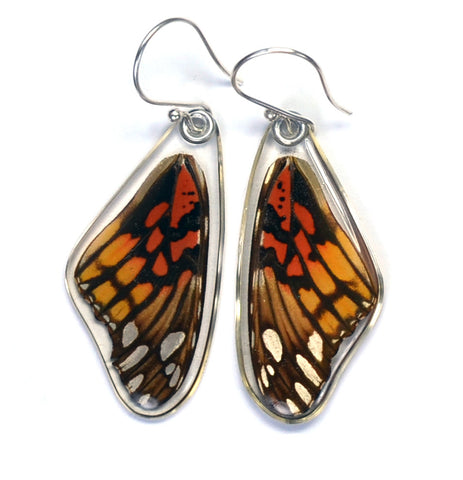 Butterfly earrings, Mexican Silverspot Butterfly, top wings