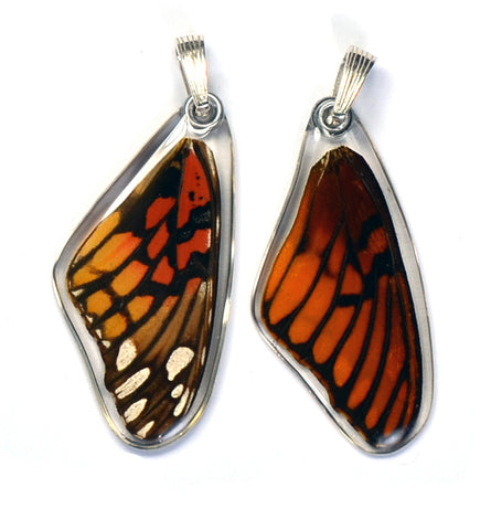 Butterfly wing pendant ONLY, Mexican Silverspot Butterfly, top wing