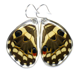 Butterfly earrings, Christmas Butterfly, bottom wings