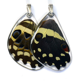 Butterfly wing pendant ONLY, Christmas Butterfly, bottom wing