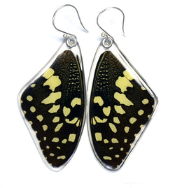 Butterfly earrings, Christmas Butterfly, top wings