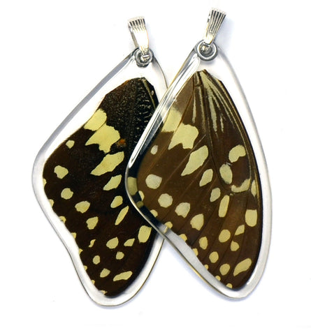 Butterfly wing pendant ONLY, Christmas Butterfly, top wing