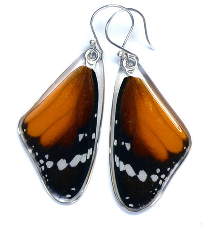 Butterfly earrings, African Monarch Butterfly, top wings