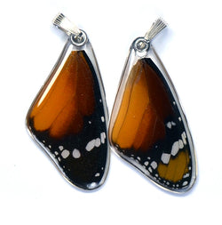 Butterfly wing pendant ONLY, African Monarch Butterfly, top wing