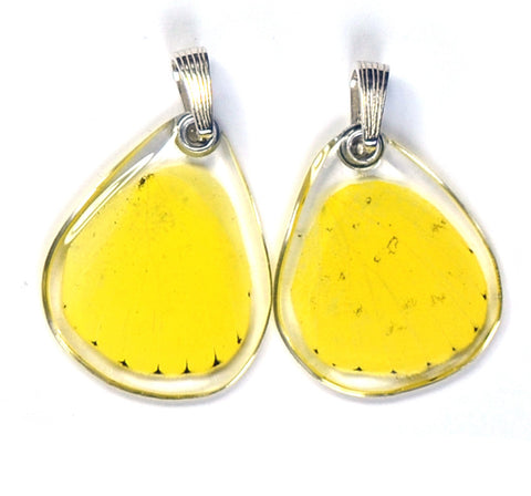 Butterfly wing pendant ONLY, Grass Yellow Butterfly, bottom wing