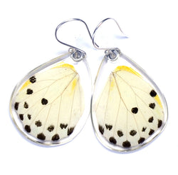 Butterfly earrings, Calypso Caper White Butterfly, bottom wings