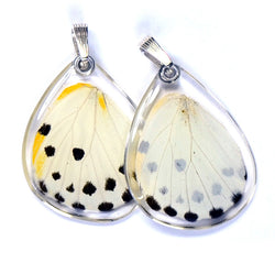 Butterfly wing pendant ONLY, Calypso Caper White Butterfly, bottom wing
