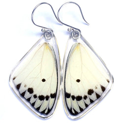 Butterfly earrings, Calypso Caper White Butterfly, top wings