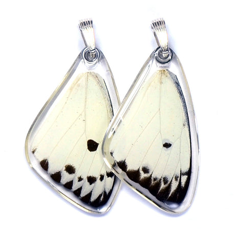 Butterfly wing pendant ONLY, Calypso Caper White Butterfly, top wing