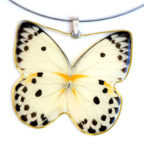 Whole Butterfly Pendant, Calypso Caper White Butterfly