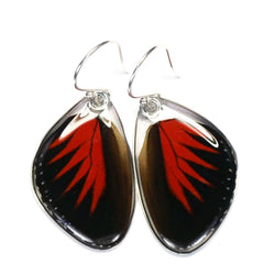 Butterfly earrings, Doris Longwing Butterfly, bottom wings