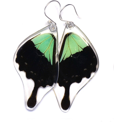 Butterfly earrings, Apple Green Swallowtail Butterfly, bottom wings