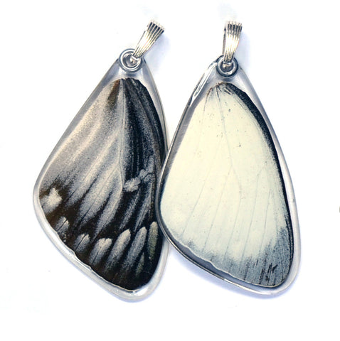 Butterfly wing pendant ONLY, Yellow Jezebel Butterfly, top wing