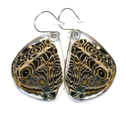 Butterfly Earrings, Blomfild's Beauty Butterfly, Bottom Wing
