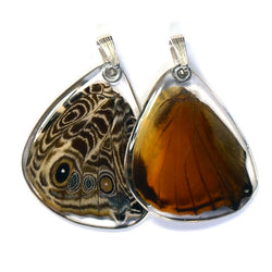 Butterfly Pendant Only, Bromfild's Beauty Butterfly, Bottom Wing