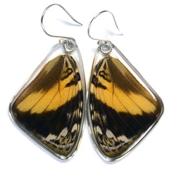 Butterfly Earrings, Blomfild's Beauty Butterfly, Top Wing