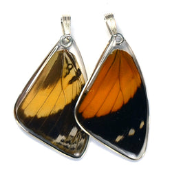 Butterfly Pendant Only, Bromfild's Beauty Butterfly, Top Wing
