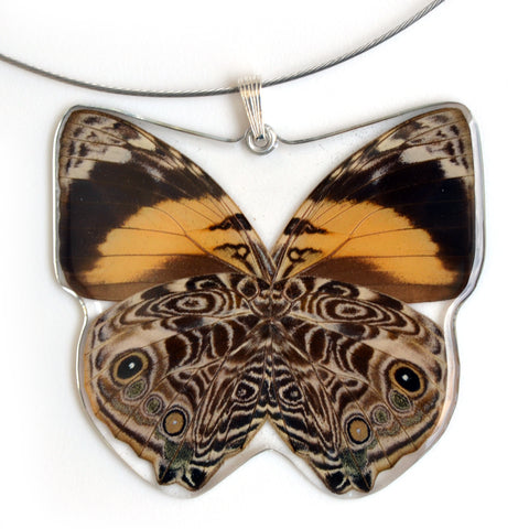 Whole Butterfly Pendant Only, SS bail, Bromfild's Beauty Butterfly