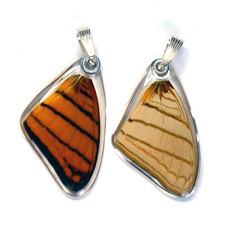 Butterfly Pendant Only, Orange Daggerwing, Top Wing