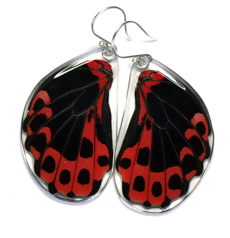 Butterfly Earrings, Scarlet Mormon, Bottom Wing