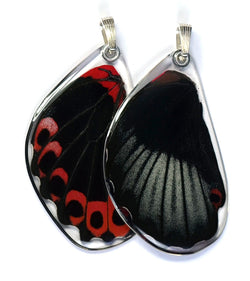Butterfly Pendant Only, Scarlet Mormon, Bottom Wing