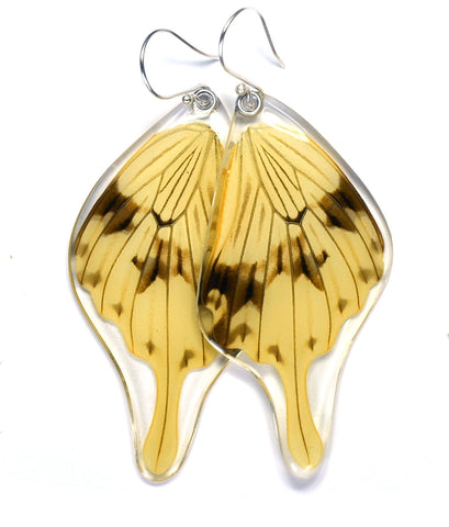 Butterfly Earrings, Flying Handkerchief Swallowtail, Bottom Wing