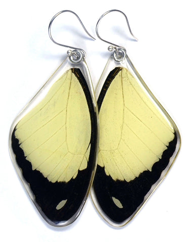 Butterfly Earrings, Flying Handkerchief Swallowtail, Top Wing
