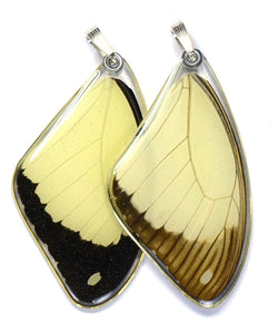 Butterfly Pendant Only, Flying Handkerchief Swallowtail, Top Wing