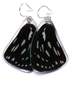 Butterfly Earrings, Forest Queen, Top Wing