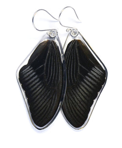 Butterfly Earrings, Papilio Helenus, Top Wing
