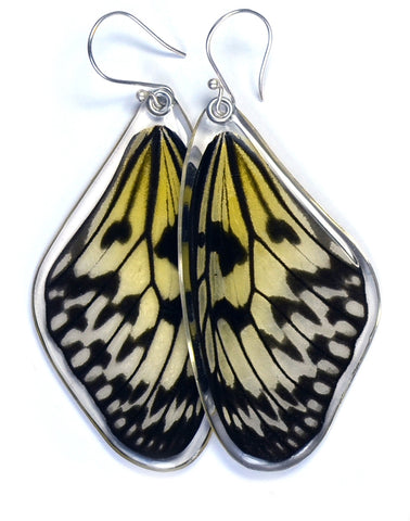 Butterfly Earrings, Paper Kite Butterfly , Top Wing