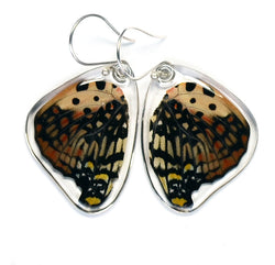Butterfly Earrings, Shining Red Charaxes, Bottom Wing