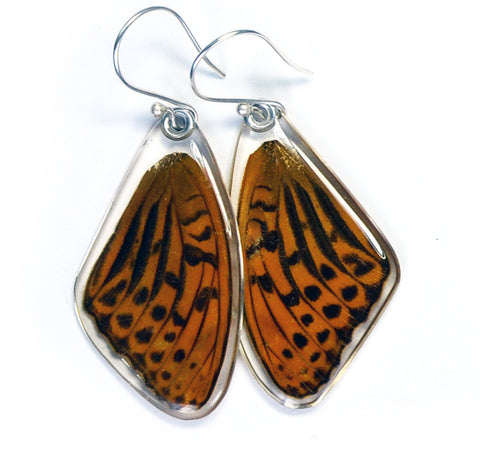Butterfly Earrings, Pallas' Fritillary, Top Wing