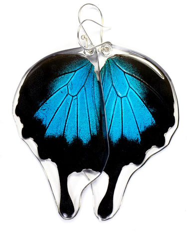 Buy Green Butterfly Wing Earrings Butterfly Earrings Butterfly Lovers Gifts  for Her Online in India - Etsy