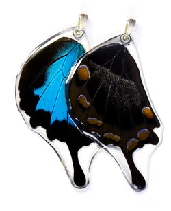 Butterfly Pendant ONLY, Mountain Blue Swallowtail, Bottom Wing