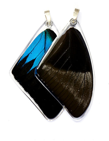 Butterfly Pendant ONLY, Mountain Blue Swallowtail, Top Wing