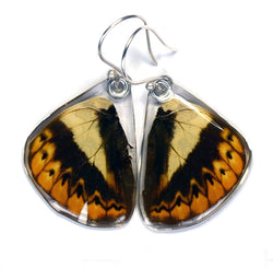Butterfly Earrings, Herminia Glider, Bottom Wing