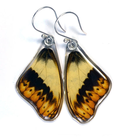 Butterfly Earrings, Herminia Glider, Top Wing