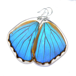 Butterfly Earrings, Giant Blue Morpho, Bottom Wing