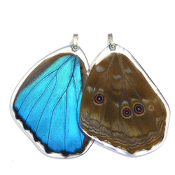 Butterfly Wing Pendant, Giant Blue Morpho, Bottom Wing