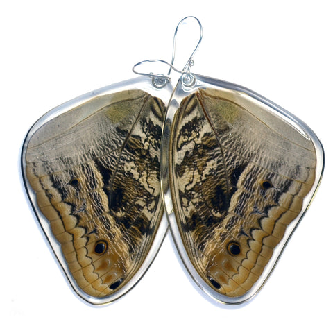 Butterfly Earrings, Owl Butterfly, Top Wing
