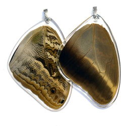 Butterfly Wing Pendant Only, Owl Butterfly, Top Wing