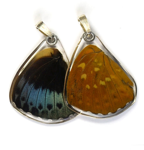 Butterfly Wing Pendant Only, Archduke Butterfly, Bottom Wing