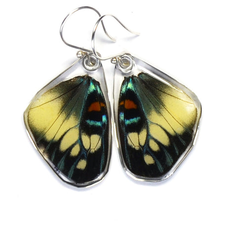 Butterfly Earrings, Day Flying Moth, Bottom Wing