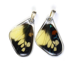 Butterfly Wing Pendant Only, Day Flying Moth, Bottom Wing