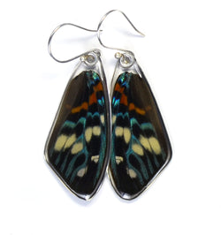 Butterfly Earrings, Day Flying Moth, Top Wing
