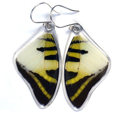Butterfly Earrings, Five Bar Swallowtail, Top Wings